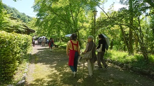 �u�����₩�T�����v