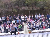 桂坂古墳の森春の特別公開